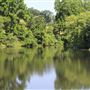 Holmdel Park