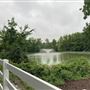 Oak Tree Pond