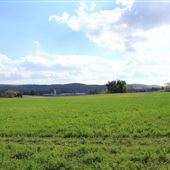 Warren County Farm Roads - Quaker Church Road, Allamuchy