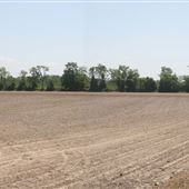 Salem County Farm Roads - Haines Neck Road, Mannington