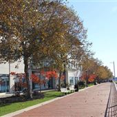 Waterfront Pathway