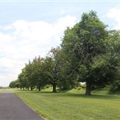 Pennington Connection to the Lawrence Hopewell Trail