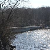 Ramapo Mountain State Forest - Ramapo Lake Trail