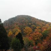 Jenny Jump State Forest