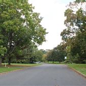 Tiger Hill Drive