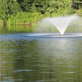 Best Lake