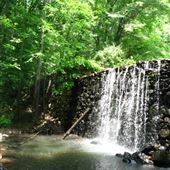 Watchung Reservation