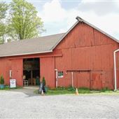 English Farm