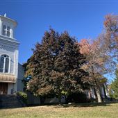 Franklin Reformed Church