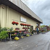 American Nursery