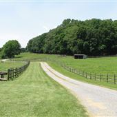 Stockton Horse Farm