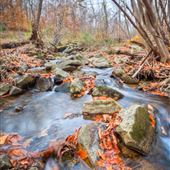 Holland Highland Preserve