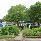 Volunteer Park