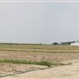 Cumberland County Farm Roads - Sayres Neck Road, Cedarville