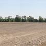 Salem County Farm Roads - Haines Neck Road, Mannington