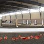 North Jersey Equestrian Center