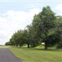 Pennington Connection to the Lawrence Hopewell Trail