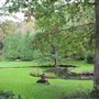 Leonard J. Buck Garden
