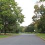 Tiger Hill Drive