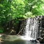 Watchung Reservation