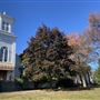 Franklin Reformed Church