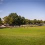 Lincoln Park-Jersey City