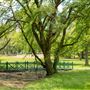 James J. Braddock Park