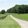 Stockton Horse Farm