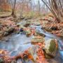 Holland Highland Preserve