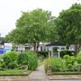 Volunteer Park