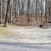 Allaire State Park - Family Camping Area