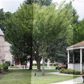 Michael J. Mauri Park
