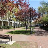 Rutgers University-Newark