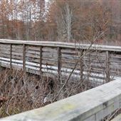 The Great Swamp National Wildlife Refuge