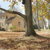 Waterloo Village - Old Waterloo Road and Waterloo Lake
