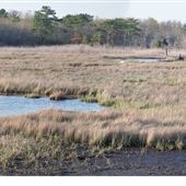 Bayville - Berkeley Shores