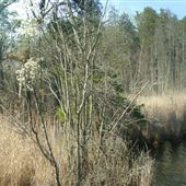 Eno's Pond County Park