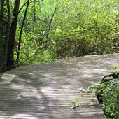 Hackensack River County Park