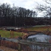 Lenape Park