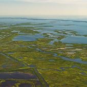 Edwin B. Forsythe National Wildlife Refuge
