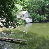 Quarry Swim Club