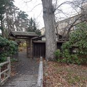 Georgian Court University - Japanese Garden