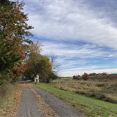 Lazy Brook Road Farm