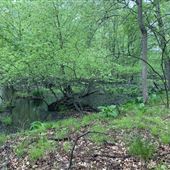 Pompton Lakes South End Trails - Blue Trail