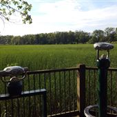 Pennington Park