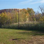 Bergen Street Field