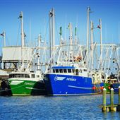 Cape May Docks