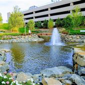 Central Green