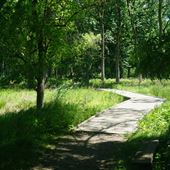 Teaneck Creek Conservancy