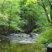 Zion Crossing